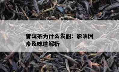 普洱茶为什么发甜：影响因素及味道解析