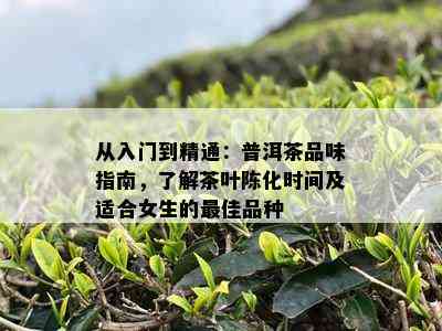 从入门到精通：普洱茶品味指南，了解茶叶陈化时间及适合女生的更佳品种