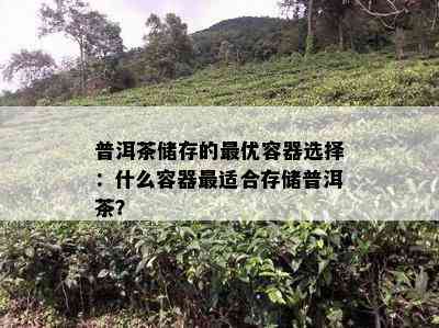 普洱茶储存的更优容器选择：什么容器最适合存储普洱茶？