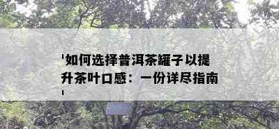 '如何选择普洱茶罐子以提升茶叶口感：一份详尽指南'