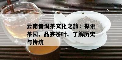 云南普洱茶文化之旅：探索茶园、品尝茶叶、了解历史与传统