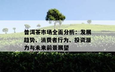 普洱茶市场全面分析：发展趋势、消费者行为、投资潜力与未来前景展望