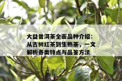 大益普洱茶全面品种介绍：从古树红茶到生熟茶，一文解析各类特点与品鉴方法