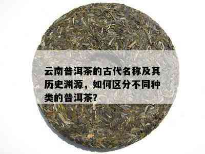 云南普洱茶的古代名称及其历史渊源，如何区分不同种类的普洱茶？