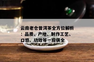 云南老仓普洱茶全方位解析：品质、产地、制作工艺、口感、功效等一应俱全