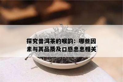 探究普洱茶的喉韵：哪些因素与其品质及口感息息相关