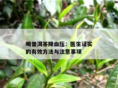 喝普洱茶降血压：医生证实的有效方法与注意事项