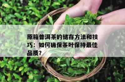 原箱普洱茶的储存方法和技巧：如何确保茶叶保持更佳品质？