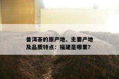 普洱茶的原产地、主要产地及品质特点：福建是哪里？