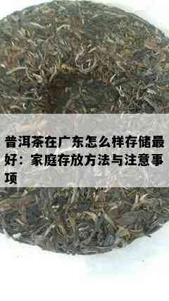 普洱茶在广东怎么样存储更好：家庭存放方法与注意事项