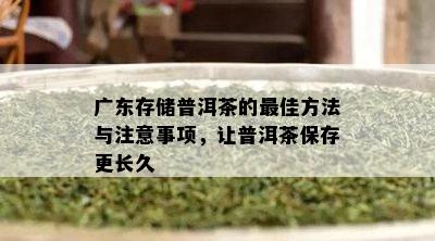 广东存储普洱茶的更佳方法与注意事项，让普洱茶保存更长久