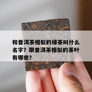 和普洱茶相似的绿茶叫什么名字？跟普洱茶相似的茶叶有哪些？