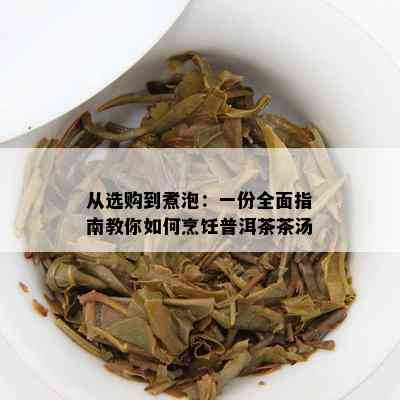 从选购到煮泡：一份全面指南教你如何烹饪普洱茶茶汤