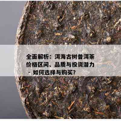 全面解析：洱海古树普洱茶价格区间、品质与投资潜力 - 如何选择与购买？