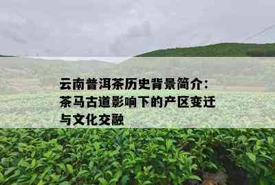 云南普洱茶历史背景简介：茶马古道影响下的产区变迁与文化交融