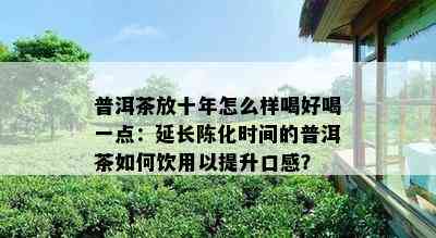 普洱茶放十年怎么样喝好喝一点：延长陈化时间的普洱茶如何饮用以提升口感？