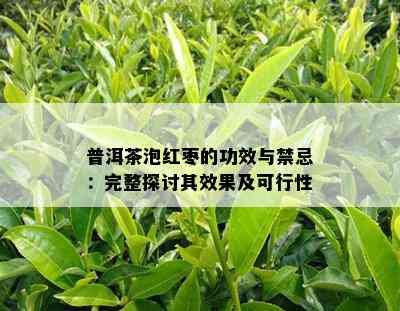 普洱茶泡红枣的功效与禁忌：完整探讨其效果及可行性