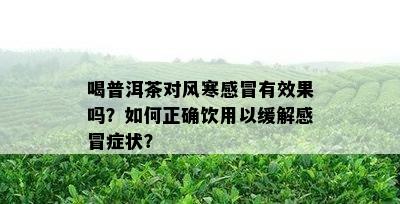 喝普洱茶对风寒感冒有效果吗？如何正确饮用以缓解感冒症状？