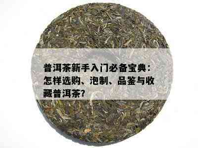 普洱茶新手入门必备宝典：怎样选购、泡制、品鉴与收藏普洱茶？