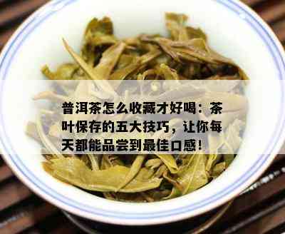 普洱茶怎么收藏才好喝：茶叶保存的五大技巧，让你每天都能品尝到更佳口感！