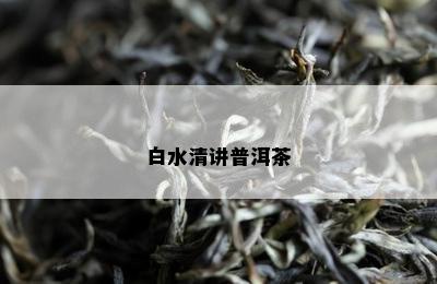 白水清讲普洱茶