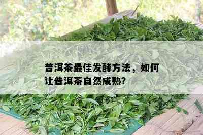 普洱茶更佳发酵方法，如何让普洱茶自然成熟？