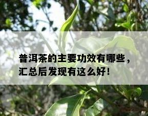 普洱茶的主要功效有哪些，汇总后发现有这么好！