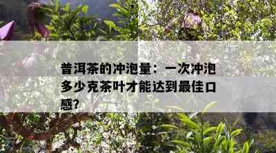 普洱茶的冲泡量：一次冲泡多少克茶叶才能达到更佳口感？