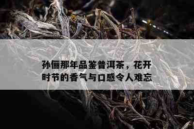 孙俪那年品鉴普洱茶，花开时节的香气与口感令人难忘