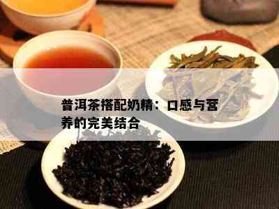 普洱茶搭配奶精：口感与营养的完美结合