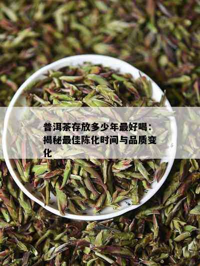 普洱茶存放多少年更好喝：揭秘更佳陈化时间与品质变化