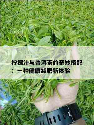 柠檬汁与普洱茶的奇妙搭配：一种健康减肥新体验