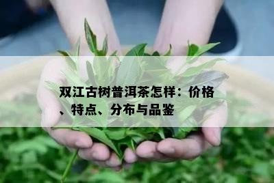 双江古树普洱茶怎样：价格、特点、分布与品鉴