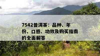 7542普洱茶：品种、年份、口感、功效及购买指南的全面解答