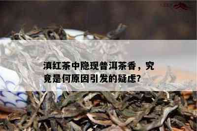 滇红茶中隐现普洱茶香，究竟是何原因引发的疑虑？