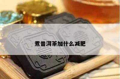 煮普洱茶加什么减肥