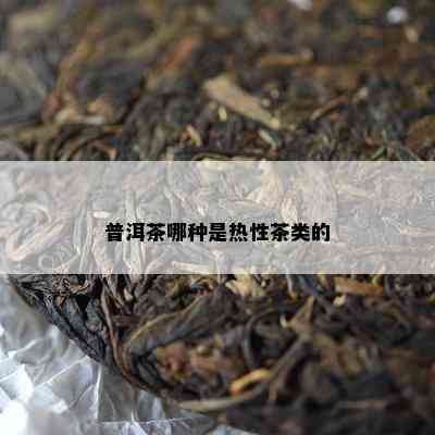 普洱茶哪种是热性茶类的