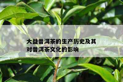 大益普洱茶的生产历史及其对普洱茶文化的影响