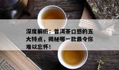 深度解析：普洱茶口感的五大特点，揭秘哪一款最令你难以忘怀！