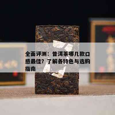 全面评测：普洱茶哪几款口感更佳？了解各特色与选购指南