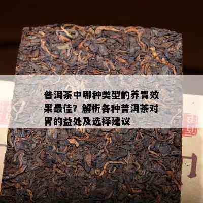 普洱茶中哪种类型的养胃效果更佳？解析各种普洱茶对胃的益处及选择建议