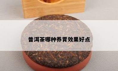 普洱茶哪种养胃效果好点