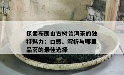 探索布朗山古树普洱茶的独特魅力：口感、解析与哪里品茗的更佳选择