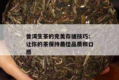 普洱生茶的完美存储技巧：让你的茶保持更佳品质和口感