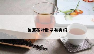 普洱茶对肚子有害吗