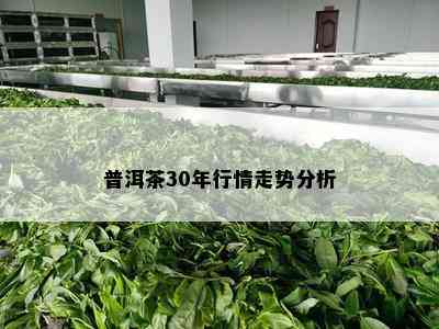 普洱茶30年行情走势分析