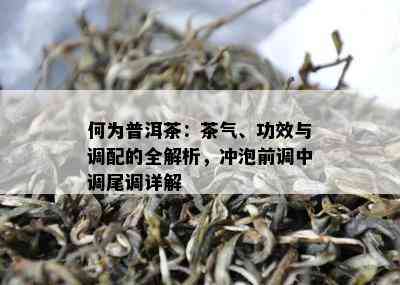 何为普洱茶：茶气、功效与调配的全解析，冲泡前调中调尾调详解