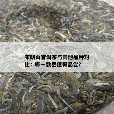 布朗山普洱茶与其他品种对比：哪一款更值得品尝？