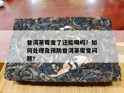 普洱茶霉变了还能喝吗？如何处理及预防普洱茶霉变问题？