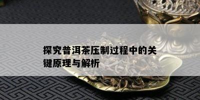 探究普洱茶压制过程中的关键原理与解析